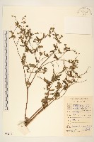 豨簽藏品圖，第1張