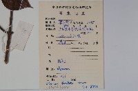 南方莢迷藏品圖，第2張