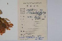 登錄號:S084578藏品圖，第2張