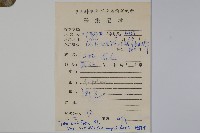 亮葉冬青藏品圖，第2張