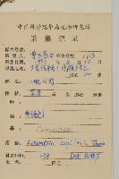 茵蔯蒿藏品圖，第2張