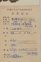 鱧腸藏品圖，第2張