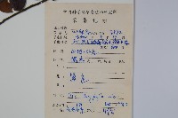 黃毛冬青藏品圖，第2張