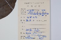 京梨獼猴桃藏品圖，第2張