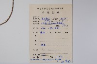 刺瓜藏品圖，第2張