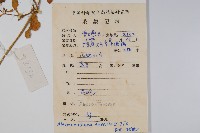 蓮子草藏品圖，第2張