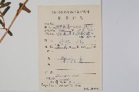 華鳳仙藏品圖，第2張