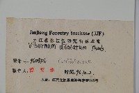 莢迷藏品圖，第2張