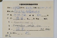 野莧菜藏品圖，第2張