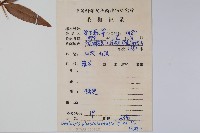 登錄號:S085161藏品圖，第2張