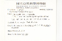 焊菜藏品圖，第2張