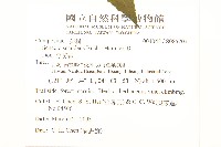蔓黃菀藏品圖，第2張
