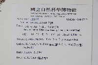 青楓藏品圖，第2張