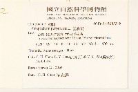 鼠麴舅藏品圖，第2張