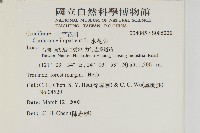 水花菜藏品圖，第2張