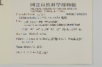 繁縷藏品圖，第2張