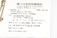 台灣黃鵪菜藏品圖，第2張
