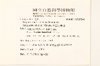 福山氏飛蓬藏品圖，第2張