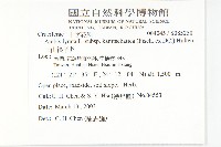 玉山筷子芥藏品圖，第2張