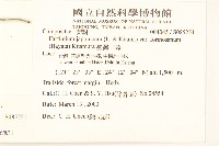 臺灣款冬藏品圖，第2張