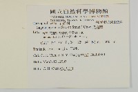 瓜槌草、漆姑草藏品圖，第2張