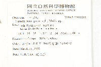 薺藏品圖，第2張