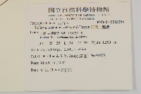 阿里山繁縷藏品圖，第2張
