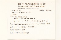 金腰箭藏品圖，第2張