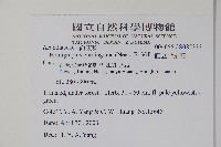 直立半插花藏品圖，第2張