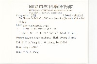 紫背草藏品圖，第2張