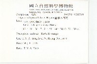 蘭嶼木耳菜藏品圖，第2張