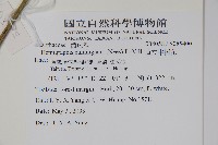 直立半插花藏品圖，第2張