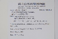 蘭嶼牛皮消、蘭嶼白薇藏品圖，第3張