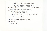 山菊藏品圖，第2張