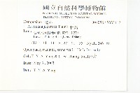 牡蒿藏品圖，第2張