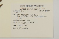 登錄號:S085451藏品圖，第2張