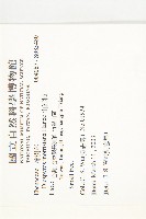 山紅柿藏品圖，第4張