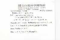 紅花野牽牛藏品圖，第2張