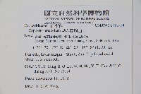 蘭嶼山柑藏品圖，第2張