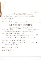 細葉假黃鵪菜藏品圖，第2張