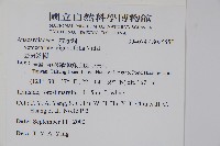 臺東漆樹藏品圖，第2張