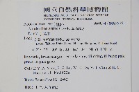 小錦蘭藏品圖，第2張