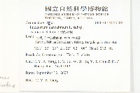 台灣澤蘭藏品圖，第2張