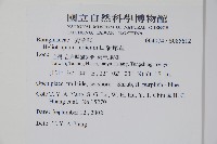 狗尾草藏品圖，第2張