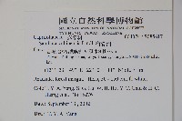 冇骨消藏品圖，第5張