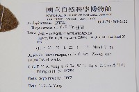 毬蘭藏品圖，第2張