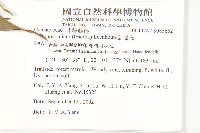 紅葉藤藏品圖，第2張