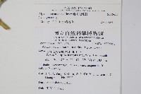 蘭嶼念珠藤藏品圖，第2張