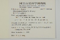 日本賽衛矛、日本假衛矛藏品圖，第2張