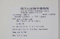 蘿芙木藏品圖，第2張